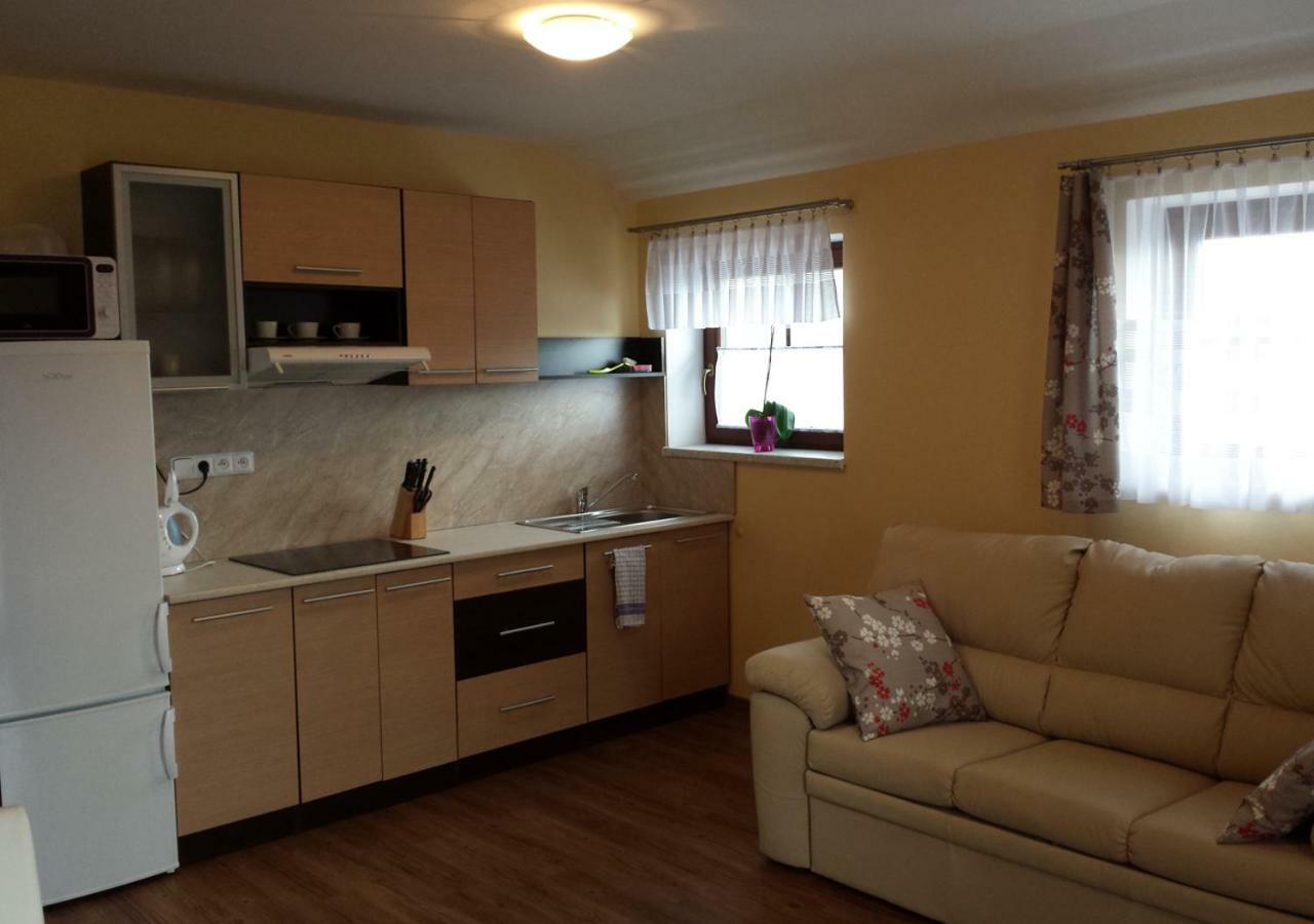 Apartmany Lucie Zdíkov Exteriör bild